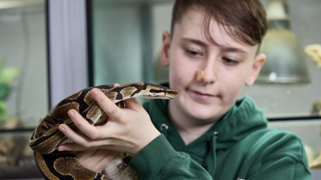 Photo of a student holding a snake